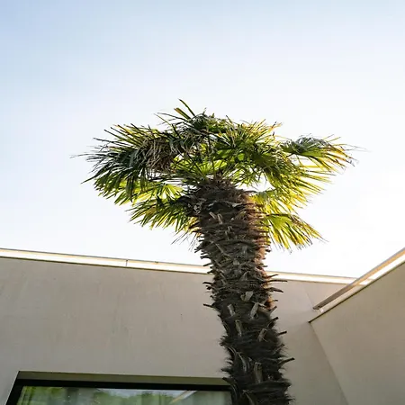 Belvilla By Oyo Holiday home Sant Andreu de Llavaneres